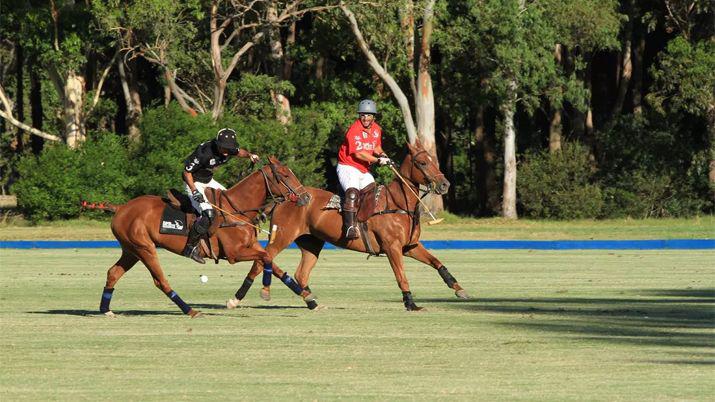 China comenzaraacute a comprarle caballos de polo a la Argentina