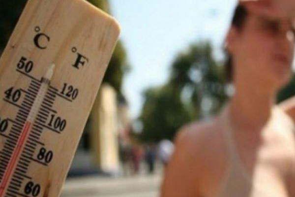 Coacutemo reconocer y evitar los efectos del calor