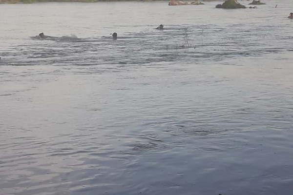 La buacutesqueda del joven pescador tuvo el peor final