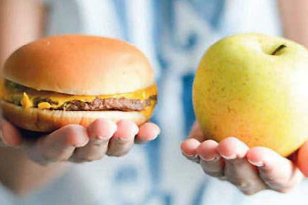 El colesterol queacute es y coacutemo afecta al corazoacuten