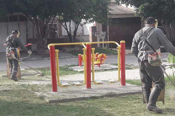 Desmalezan en diferentes sectores de la ciudad