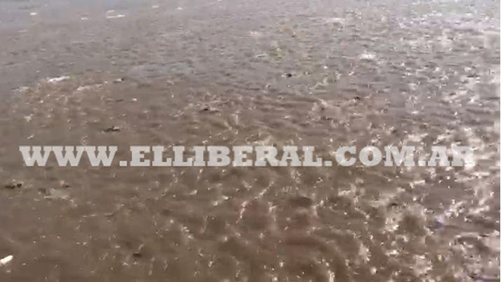 VIDEO  Sorpresa por miles de peces en la superficie del Riacuteo Dulce