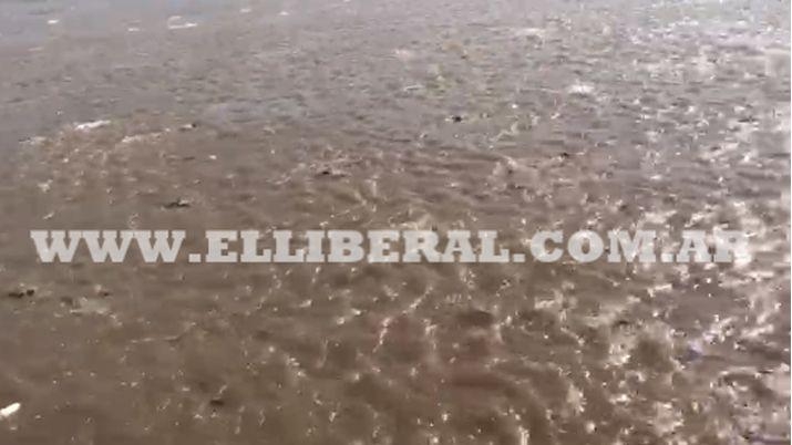 VIDEO Sorpresa por miles de peces en la superficie del Riacuteo Dulce