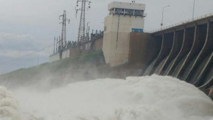 La explicacioacuten cientiacutefica para uno de los fenoacutemenos maacutes importantes de la naturaleza