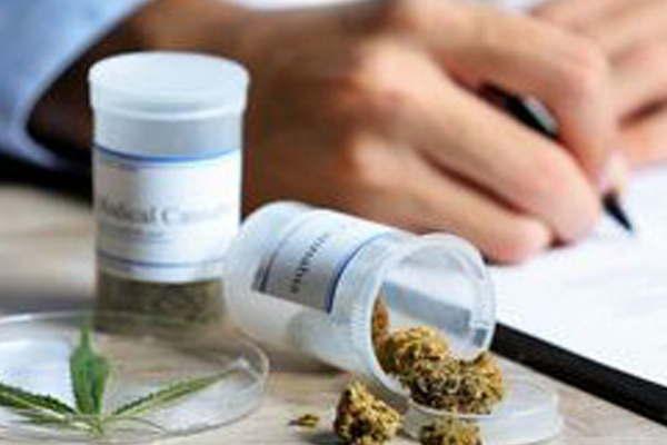 Primera Cumbre internacional de cannabis en Panamaacute