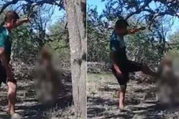 Detienen a un sujeto que colgoacute y apaleoacute a una perrita hasta matarla en Brea Pozo