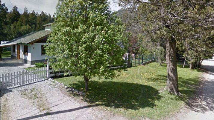 Apareció un puma suelto en Bariloche y causó terror