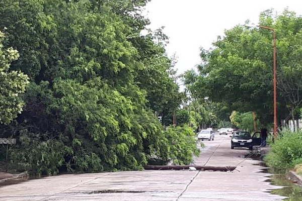Friacuteas tuvo una tormentosa jornada y las precipitaciones registraron 90
