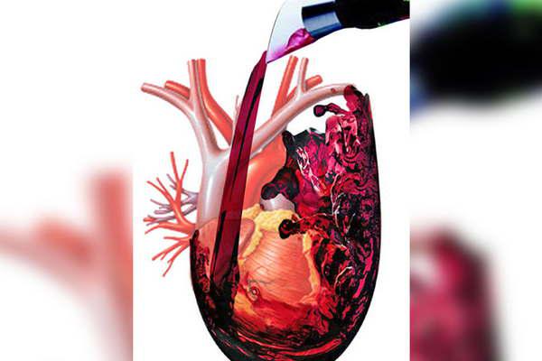 El alcohol y el corazoacuten
