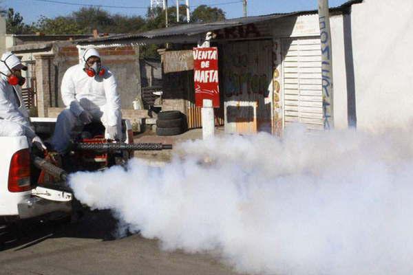 El municipio capitalino refuerza los operativos de fumigacioacuten en distintos barrios de la ciudad