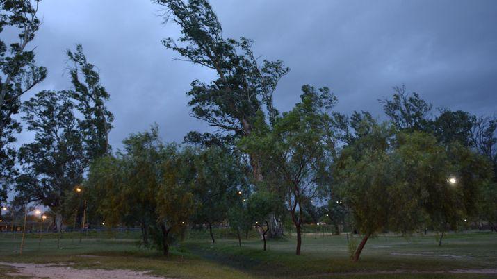 Congoja por la muerte de un nene aplastado por una rama