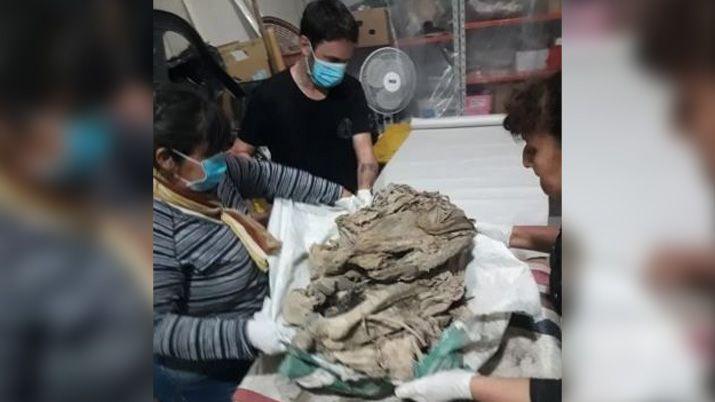 Encontraron a una momia de 600 antildeos en Catamarca