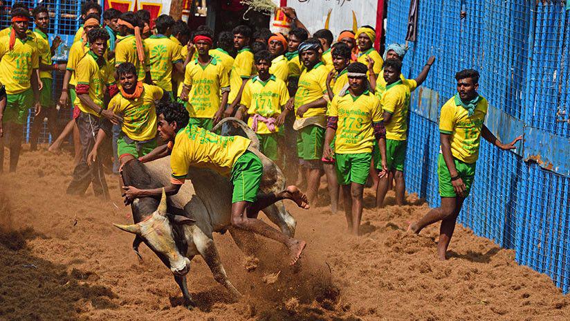 Video- Un toro desnuda a un hombre durante una corrida