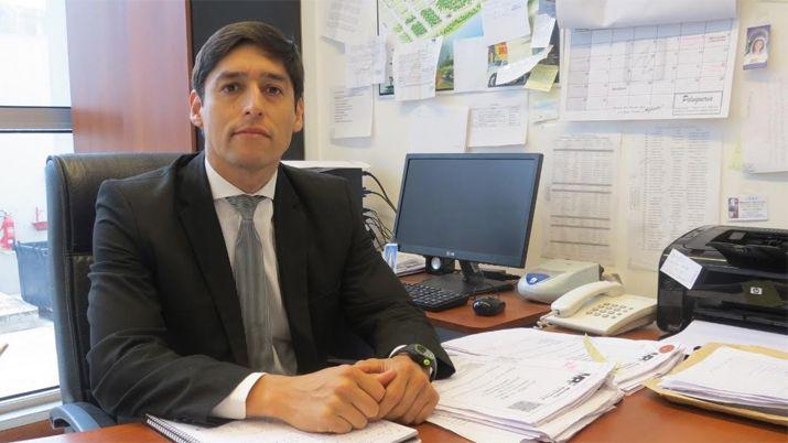 Recuperan 30 vacunos de raza y detienen a un empleado que las entregoacute