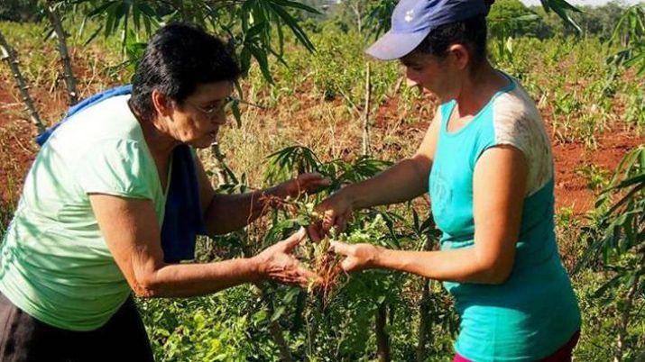 Semillero de Futuro busca apoyar proyectos de alto impacto social en Santiago
