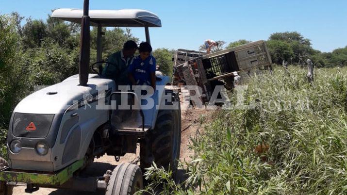 Volcoacute un camioacuten que transportaba vacas en un camino vecinal