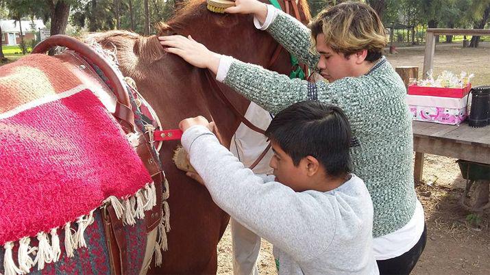 Chicos santiaguentildeos necesitan un caballo para hacer equinoterapia