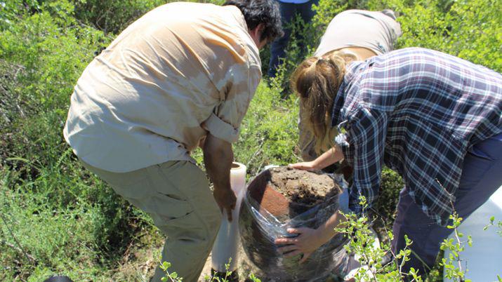 Hallan restos oacuteseos prehispaacutenicos en Villa Salavina