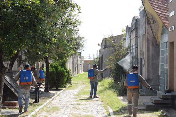 Se fumigoacute en el predio del cementerio La Piedad