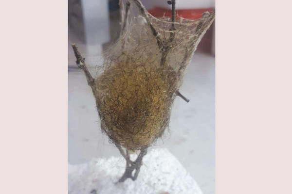 Ntildeanduti o tela de araNtildea la historia  del famoso bordado paraguayo