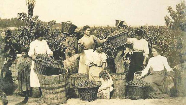 Los Mayuli y su bodega del Smata el primer emprendimiento vitiviniacutecola de Santiago