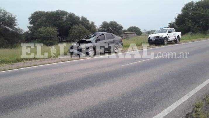 Conductor chocoacute con un caballo y soacutelo sufrioacute heridas leves