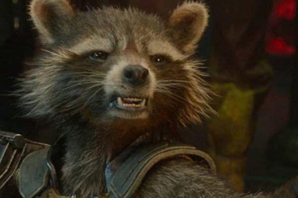 Murioacute Oreo el mapache del filme  Guardianes de la galaxia 