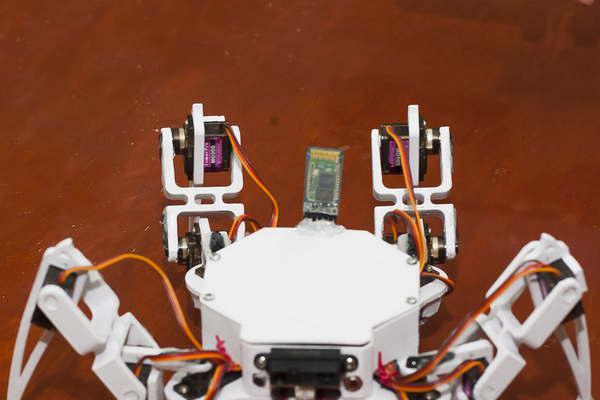 Crean robot araacutecnido para la buacutesqueda y rescate de personas 