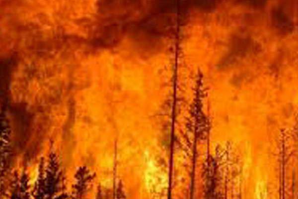 No ceden los incendios forestales en Chile y tratan de que no llegue a las casas