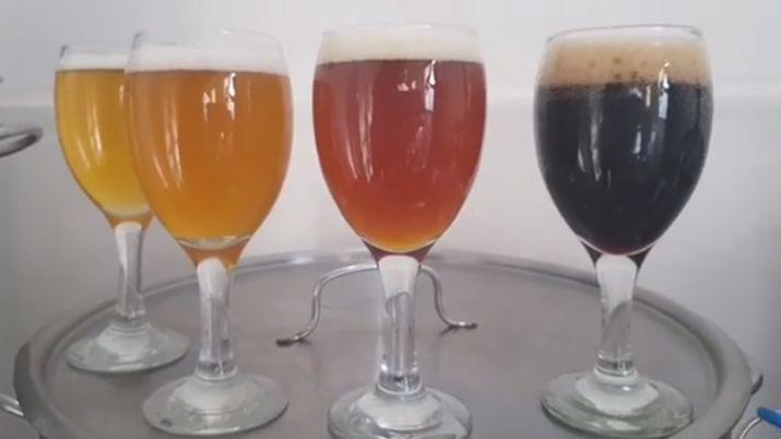 VIDEO  Lo que siempre quisiste saber de la cerveza artesanal santiaguentildea