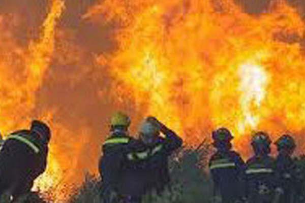 Se expande el fuego en Chile con incendios forestales en 53000 ha