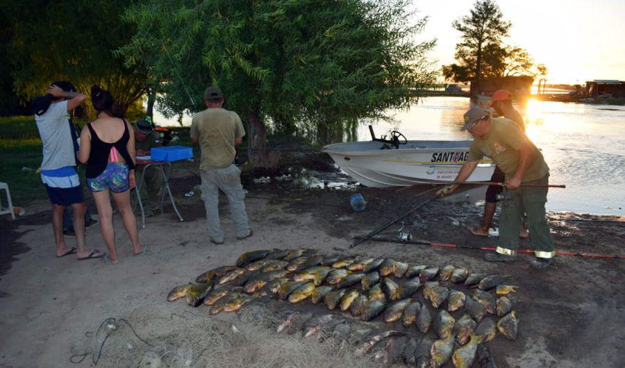 Pesca ilegal- secuestran 70 ejemplares de dorados