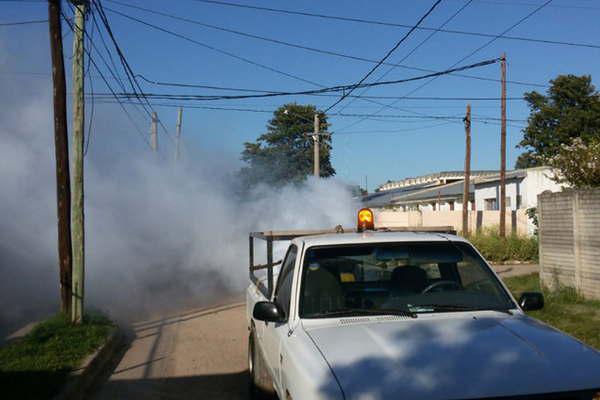 La comuna reforzoacute los trabajos de limpieza y fumigacioacuten en diferentes barrios de la ciudad