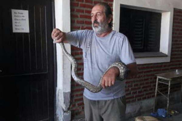 La visita de una boa sorprendioacute a los bomberos de Antildeatuya
