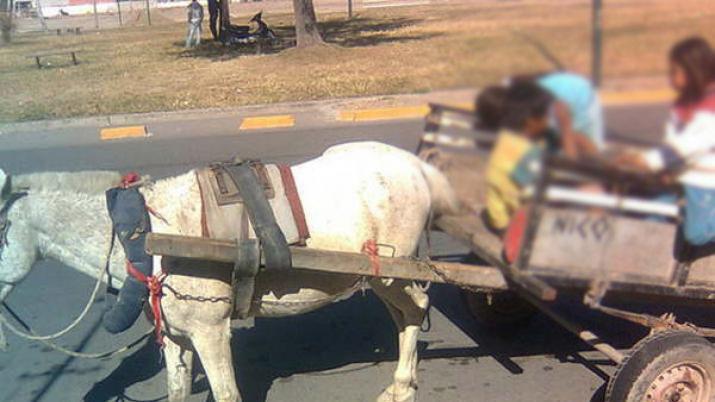 Un carro traccioacuten a sangre aplastoacute a un nene