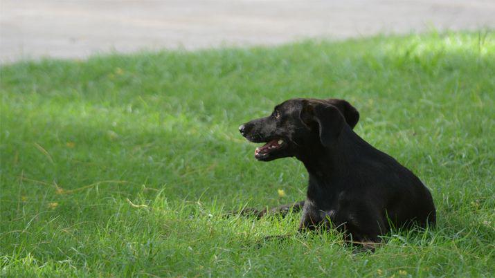 Se espera que la ola de calor en Santiago sea hasta el domingo