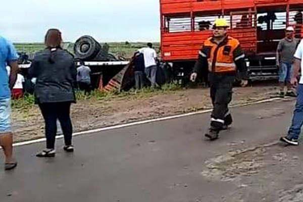 VIDEO Roce de camiones provocoacute el vuelco de uno que transportaba vacas y las faenaron en plena ruta