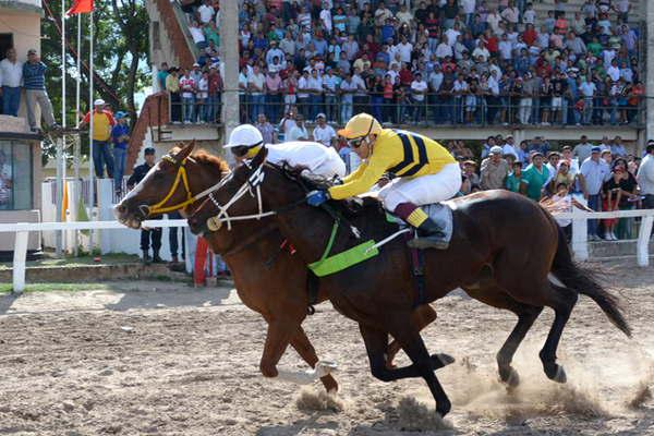 Once carreras para el domingo en el hipoacutedromo
