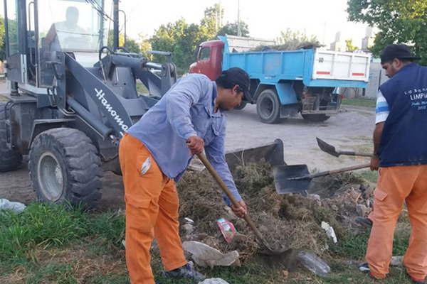 El municipio realizoacute la limpieza el desmalezamiento y el rastrado en terrenos baldiacuteos y platabandas