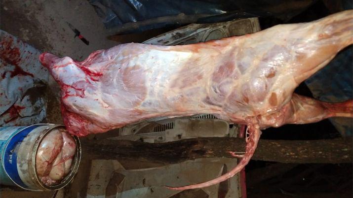 Atrapan a tres joacutevenes cuando faenaban un animal en un rancho