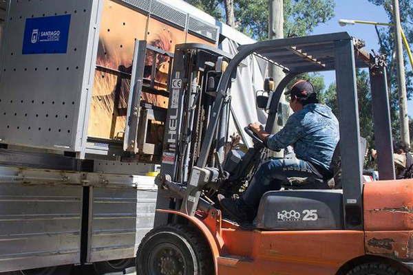 Una tigresa y un leoacuten fueron trasladados desde el ex zoo municipal a una reserva de Sudaacutefrica