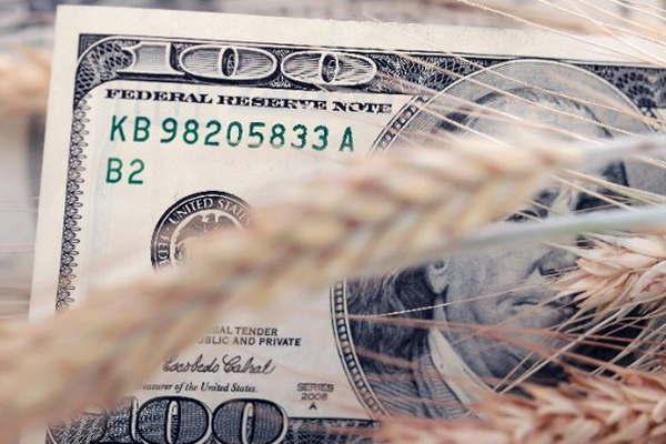 Doacutelar calmo por anuncios de Dujovne ingreso de agrodoacutelares y tasas altas