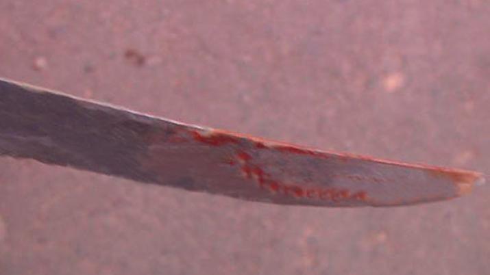 Buscan a un hombre que apuntildealoacute a su propia sobrina de 13 antildeos