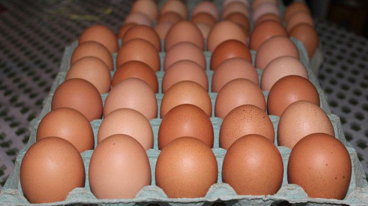 El pollo volvioacute a subir y cuesta maacutes de 100 el kilogramo