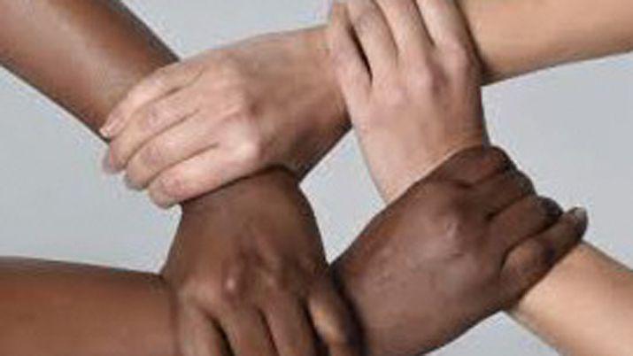 Debatiraacuten sobre la erradicacioacuten del racismo en la educacioacuten