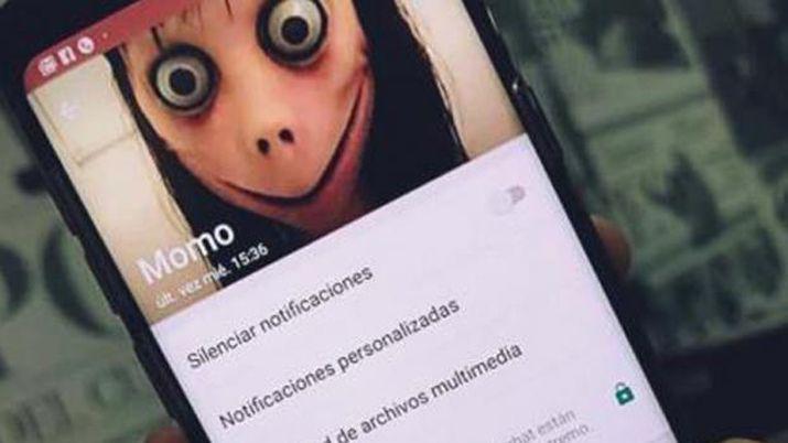 La imagen provoca impresión entre los usuarios de las redes sociales