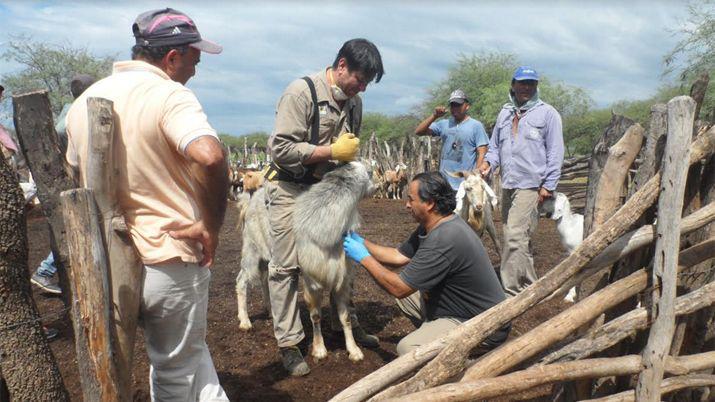 La capacitación se desarrolló en la localidad de Los Tunales departamento Jiménez