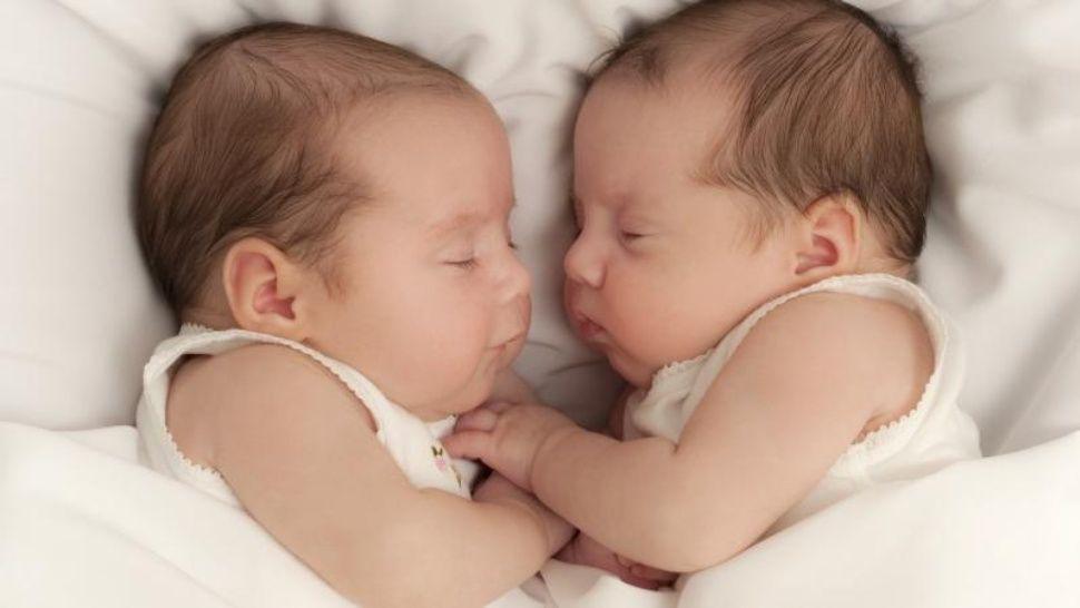 Insoacutelito- Tuvo gemelos de distintos padres