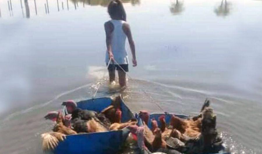 Con tan solo 8 antildeos tuvo que rescatar a sus animales de la inundacioacuten