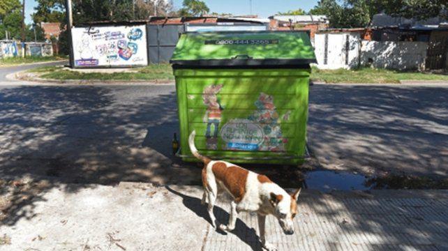 Rosario- faenaron a 30 perros y arrojaron sus esqueletos en un contenedor